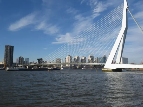 Rotterdam