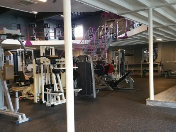 NOP Basic Gym