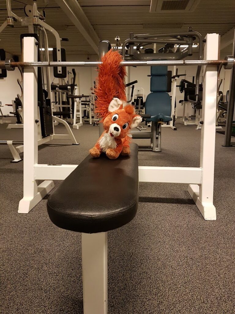 Easy Fitness