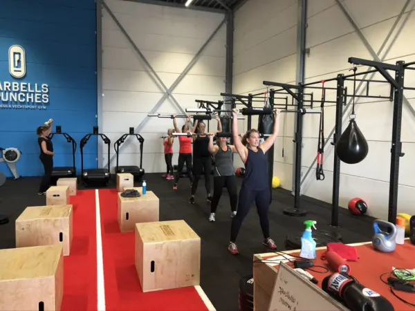 Barbells & Punches