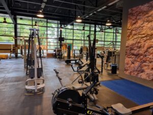 AF1QipOKLDQG1dY9rxCpuxcP0Foa0OWB AId4uiScY0Yw1920 h1080 k no