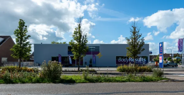BodyResults