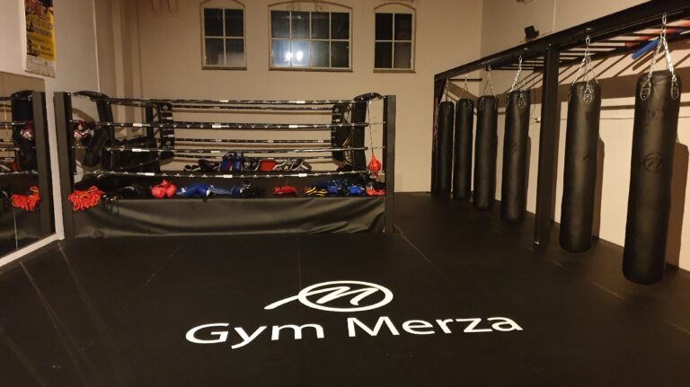 Gym Merza