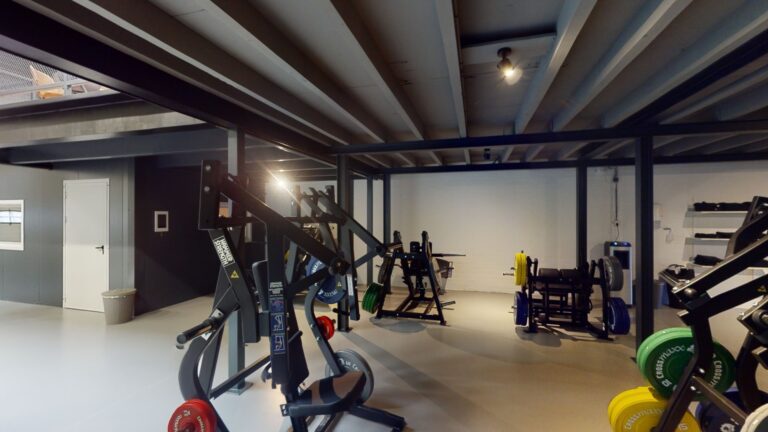 Elevate the Gym