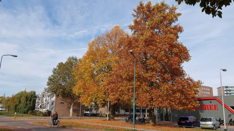 SportCity Veenendaal