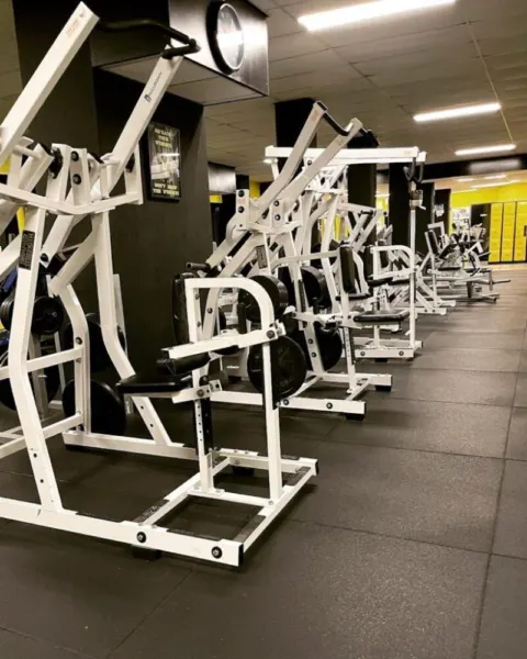 Gorilla Gym