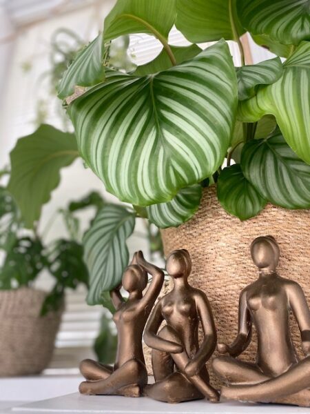 Afbeelding van sportschool Yoga & Pilates Schiedam Karina's Les