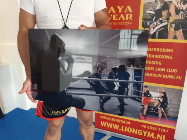 Afbeelding van sportschool Lion Gym