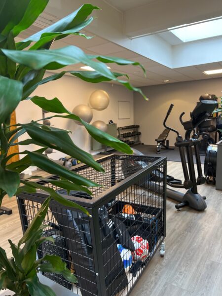 Afbeelding van sportschool Future Fit