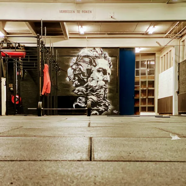 Afbeelding van sportschool Crossfit Nultien