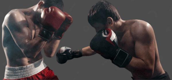 Afbeelding van sportschool Lion Gym