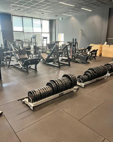 SHARKY'S GYM