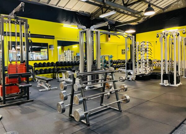 Afbeelding van sportschool Gorilla Gym