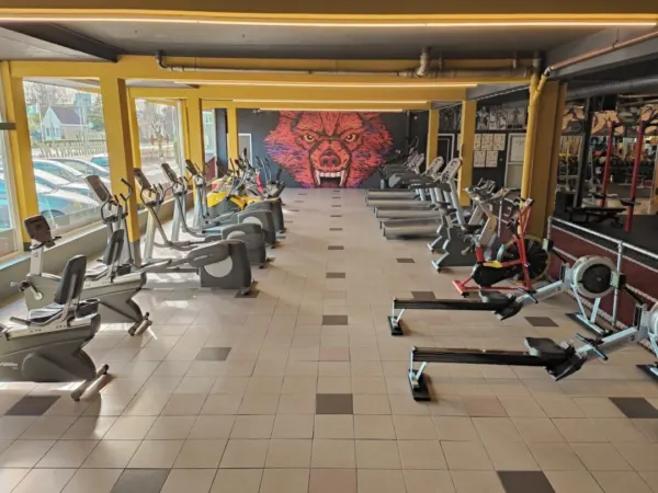 Afbeelding van sportschool Gym Iron Heart