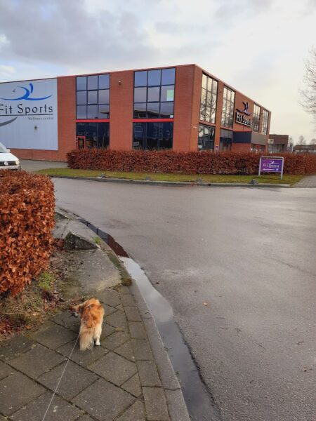 Afbeelding van sportschool Fit Sports