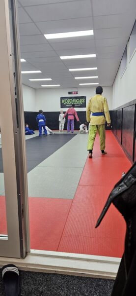 Afbeelding van sportschool BJJ Den Haag