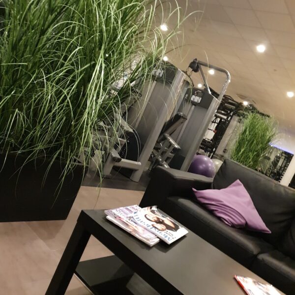 Afbeelding van sportschool Level Up Axel