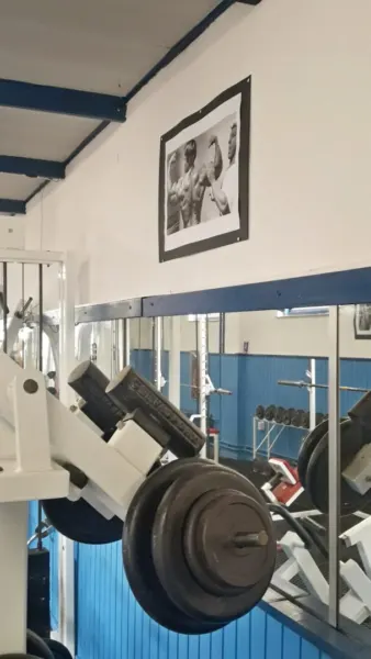 Afbeelding van sportschool Sportinstituut Chikara