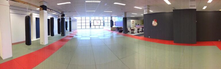 Renshu Fights - MMA in Groningen