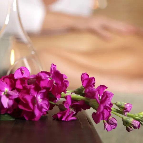 Afbeelding van sportschool Guna, Ayurveda & Yoga