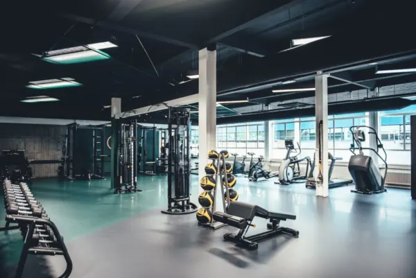 Geniaalfit