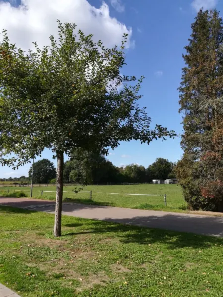 Afbeelding van sportschool De Heikant