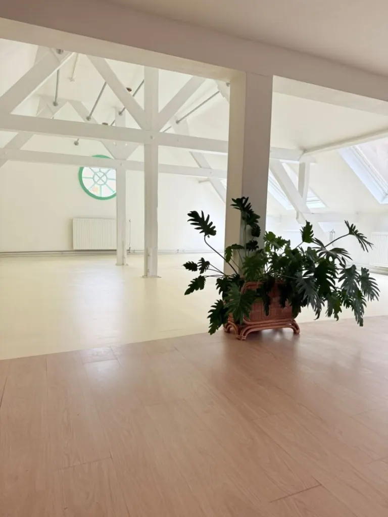The Yoga Loft Breda sportschool in Breda