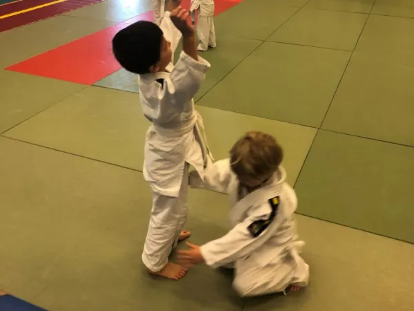 Afbeelding van sportschool Budocentrum Junansei