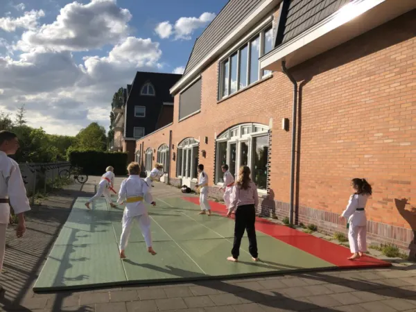 Afbeelding van sportschool Budocentrum Junansei