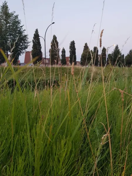 Afbeelding van sportschool LifeCity Amersfoort-Noord