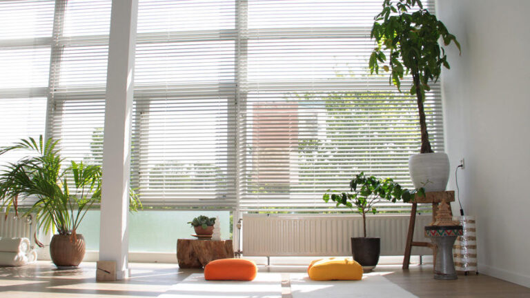 Tao Dru Tilburg, Yoga & Pilates & Chi Kung