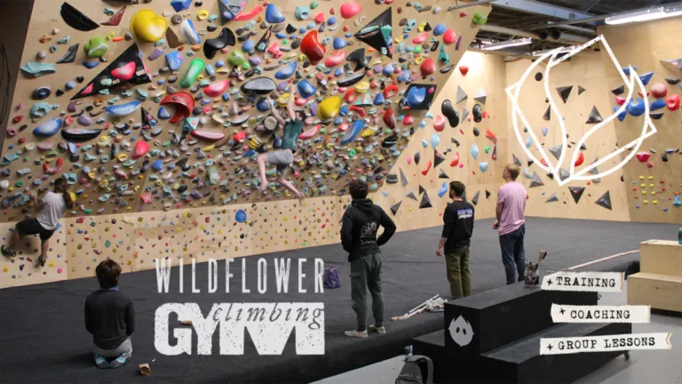 Club Wildflower sportschool in Leiden