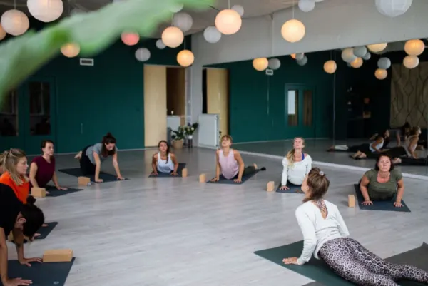 Afbeelding van sportschool The Human Fabrique