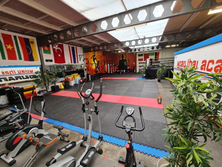 MTA DURANGYM en Muaythai Organisatie Nederland (M-O-N)