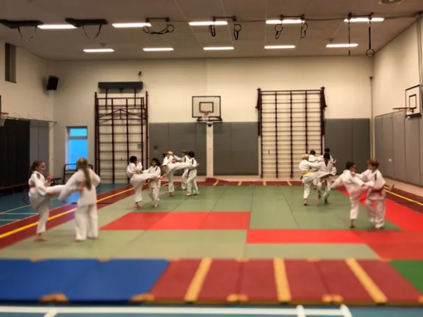 Afbeelding van sportschool Budocentrum Junansei