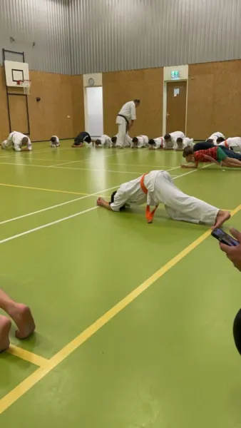 Afbeelding van sportschool Kyokushinkai in Leiden