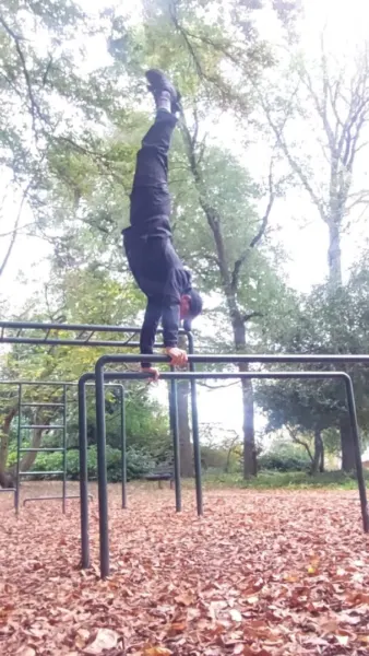 Afbeelding van sportschool Calisthenic Open Gym