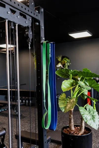 Afbeelding van sportschool Zone5 - Personal Training & Groepsfitness in Vught