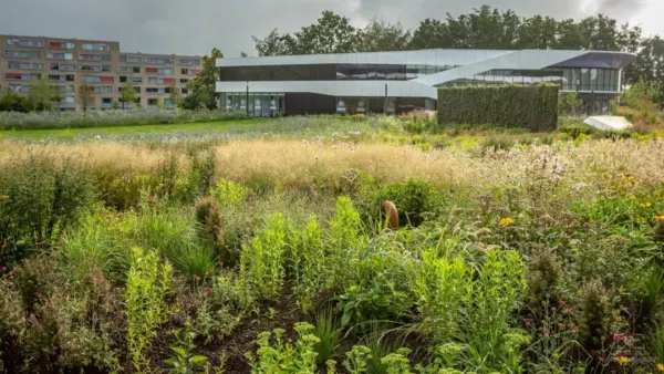 Afbeelding van sportschool MIBOSO Sportstudio