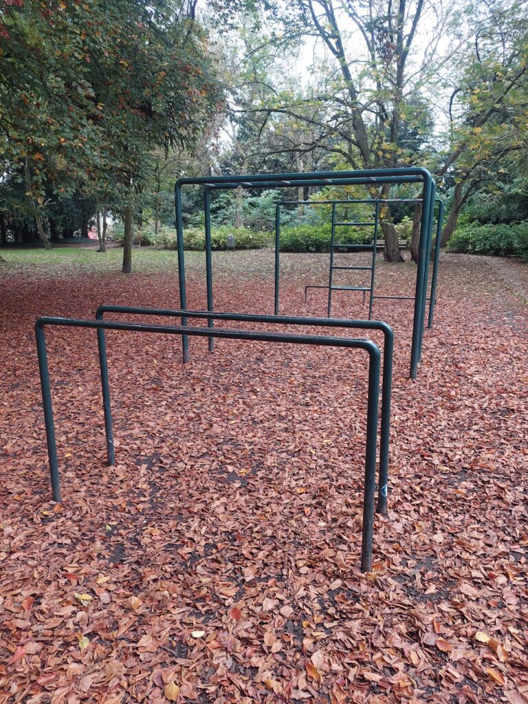 Calisthenic Open Gym