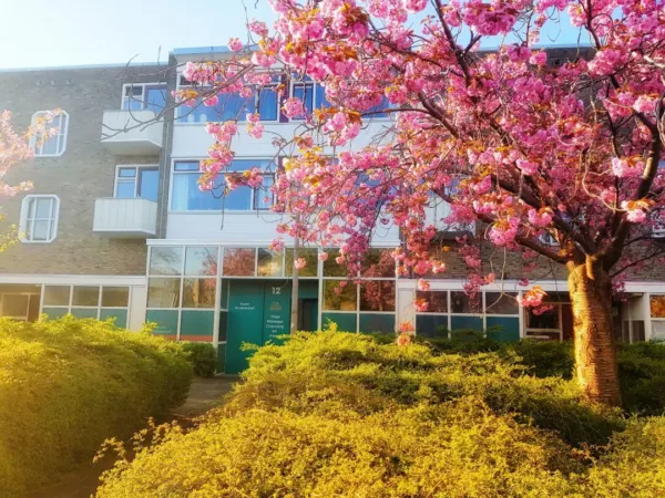 Afbeelding van sportschool Het Zonnekompas - Zwangerschapsyoga en yinyoga