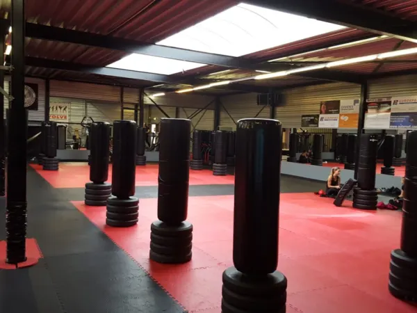 Afbeelding van sportschool Back 2 The Gym