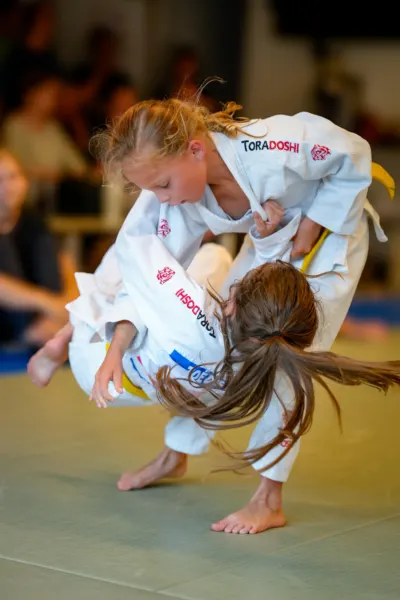 Afbeelding van sportschool Sportschool Toradoshi