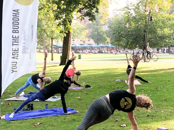Premium-foto van sportschool Yoga Academy You are the Buddha